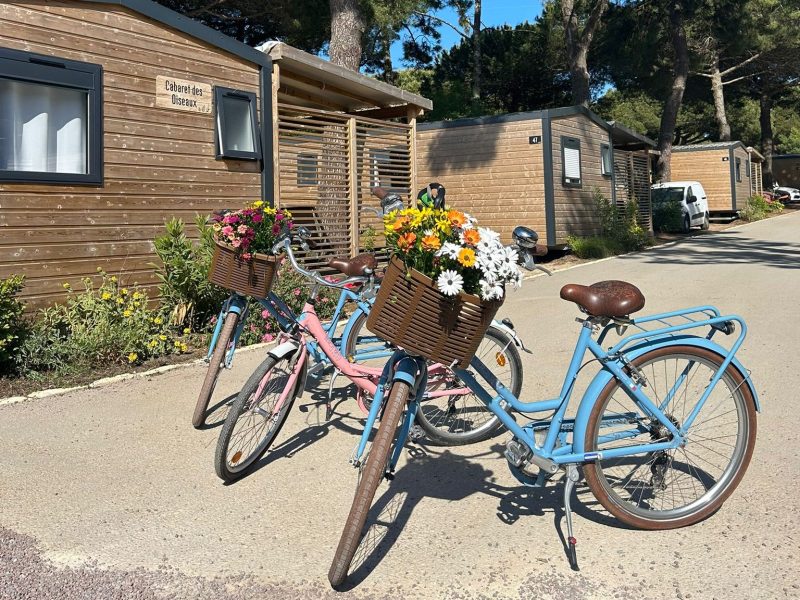 Camping Suroit La location de vélos  0